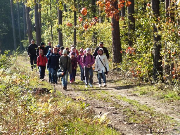 Odnaleźli groby w brwileńskim lesie [FOTO] - Zdjęcie główne