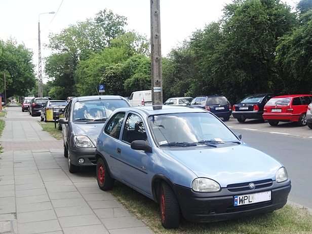 Wycieńczonemu psu na ratunek. Zbili szybę - Zdjęcie główne