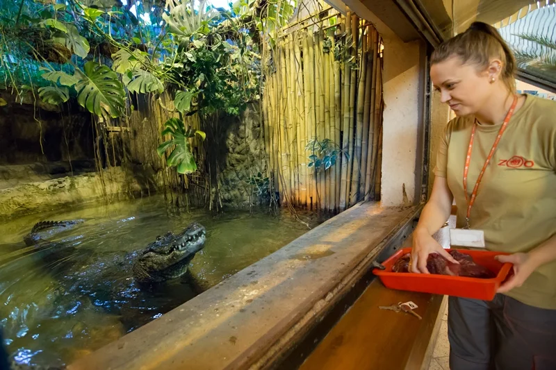 Marta kończy 93 lata. Płockie zoo zaprasza na urodziny swojej gwiazdy! - Zdjęcie główne