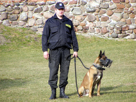 Hau, hau - rzekł funkcjonariusz policji - Zdjęcie główne