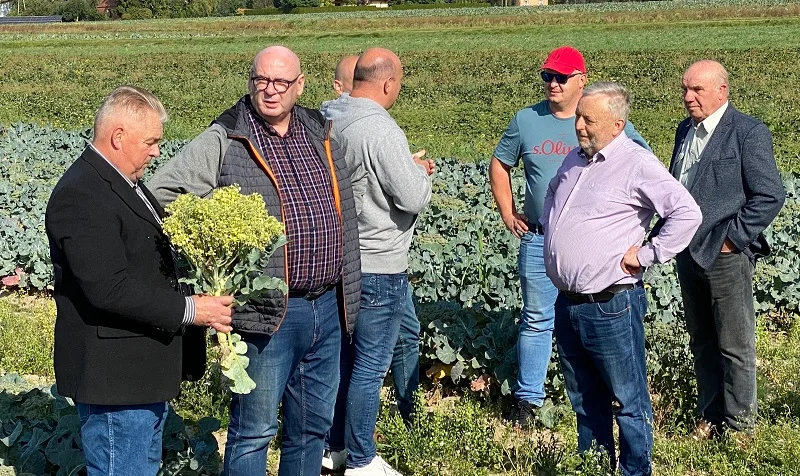 Trudna sytuacja plantatorów z powiatu płockiego. Zgorzelski: plony gniją na polach! - Zdjęcie główne