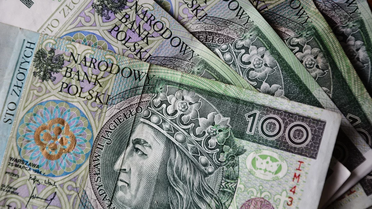 Firma z Płocka zdobyła kontrakty o wartości 12,7 ml zł. Co będzie robić?