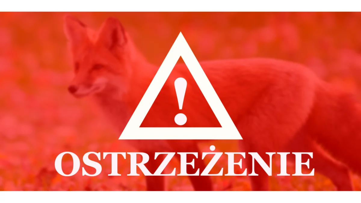Komunikat dla mieszkańców Mazowsza. Będą zrzucać to z samolotów. Pod żadnym pozorem nie dotykaj!