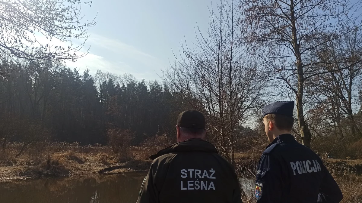 Policja i strażnicy w płockich lasach. Co się wydarzyło? - Zdjęcie główne