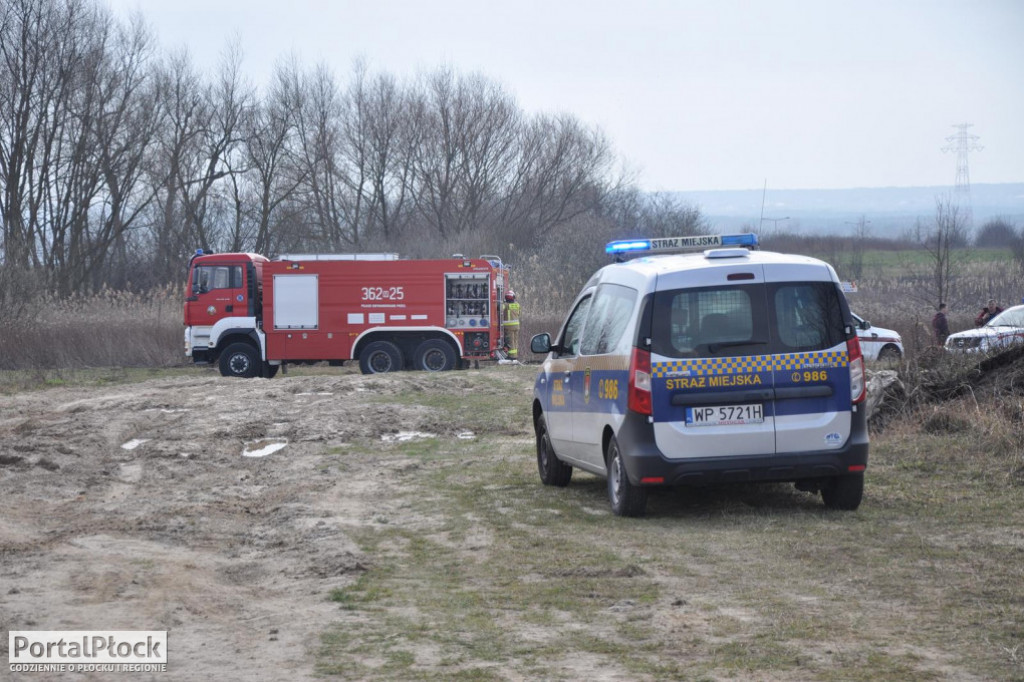 Pożar traw i lasku - Zdjęcie główne