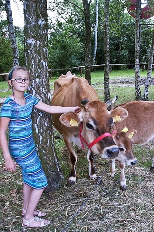 Wiejskie klimaty w płockim zoo - Zdjęcie główne