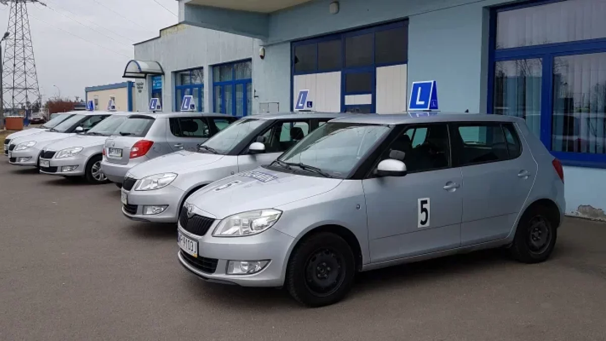 Egzamin na prawo jazdy w Płocku. Które szkoły poradziły sobie najlepiej? [RANKING]