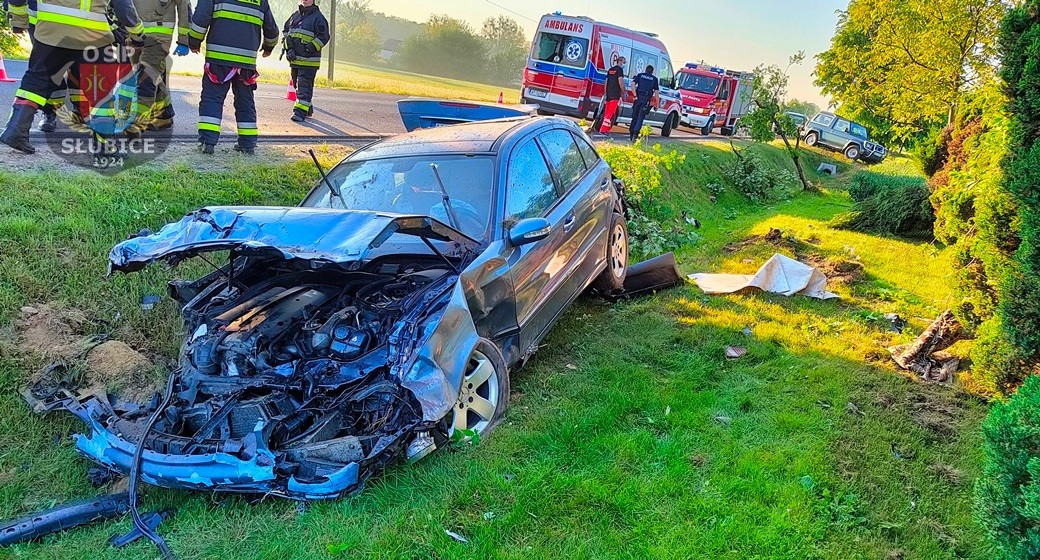 Wypadek za Płockiem. Auto wypadło z drogi. Ranna kobieta w ciąży [ZDJĘCIA] - Zdjęcie główne