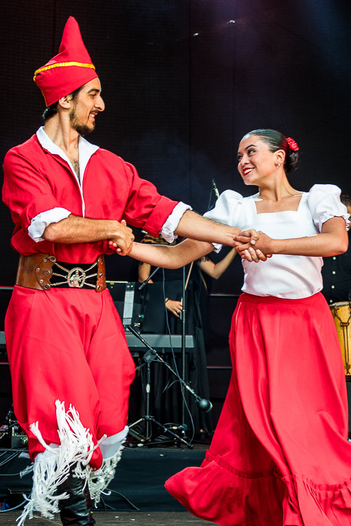 Koncert inauguracyjny Vistula Folk Festival - Zdjęcie główne