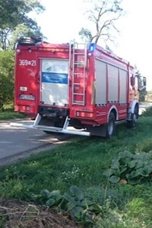 Ruszyli na pomoc łabędziowi - Zdjęcie główne