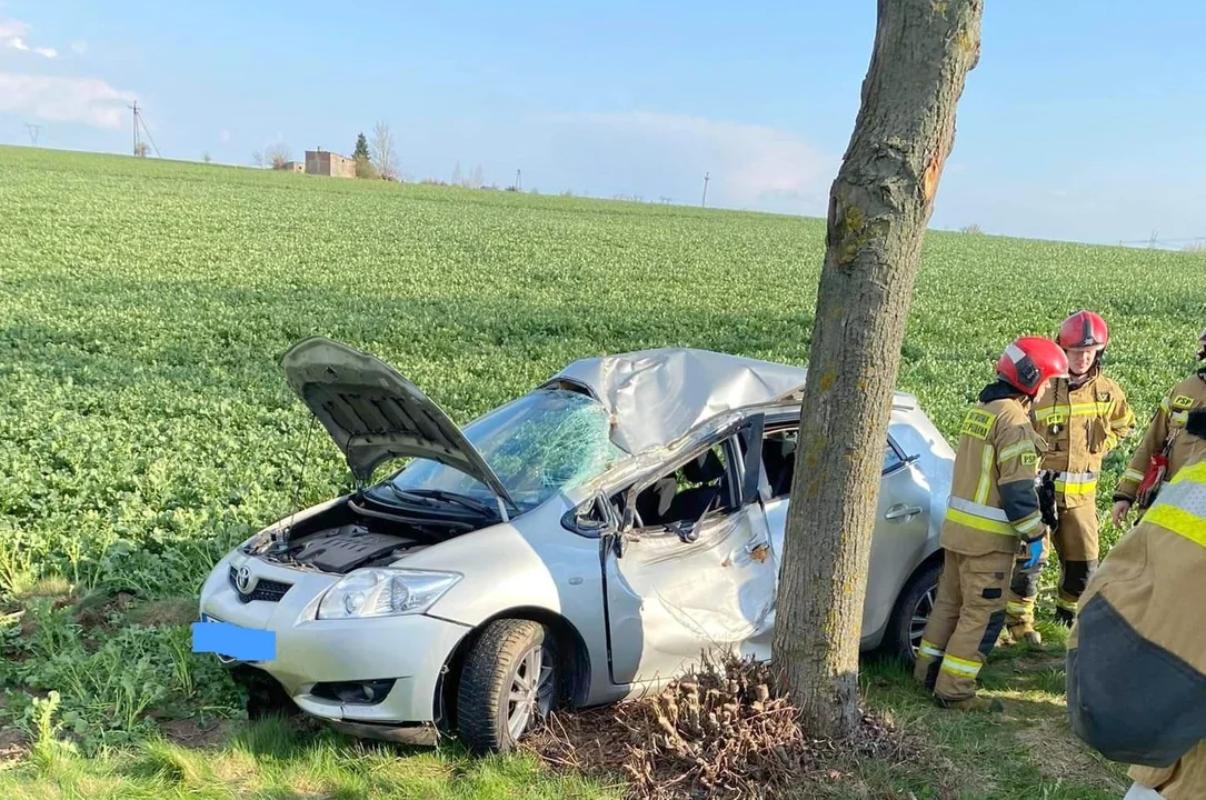 Weekend na drogach. Toyota uderzyła w drzewo - Zdjęcie główne