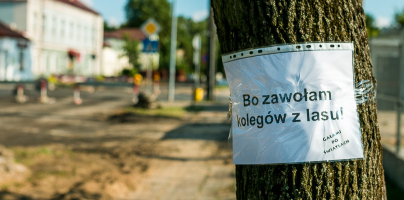 Kilkadziesiąt drzew uratowanych, a to być może nie koniec akcji ratunkowej - Zdjęcie główne