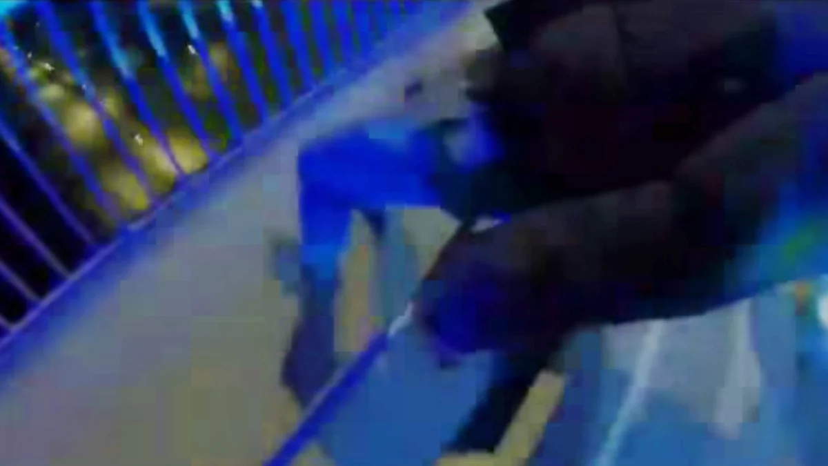 Dramatyczna interwencja na płockim moście. Liczyła się każda sekunda! [FILM]