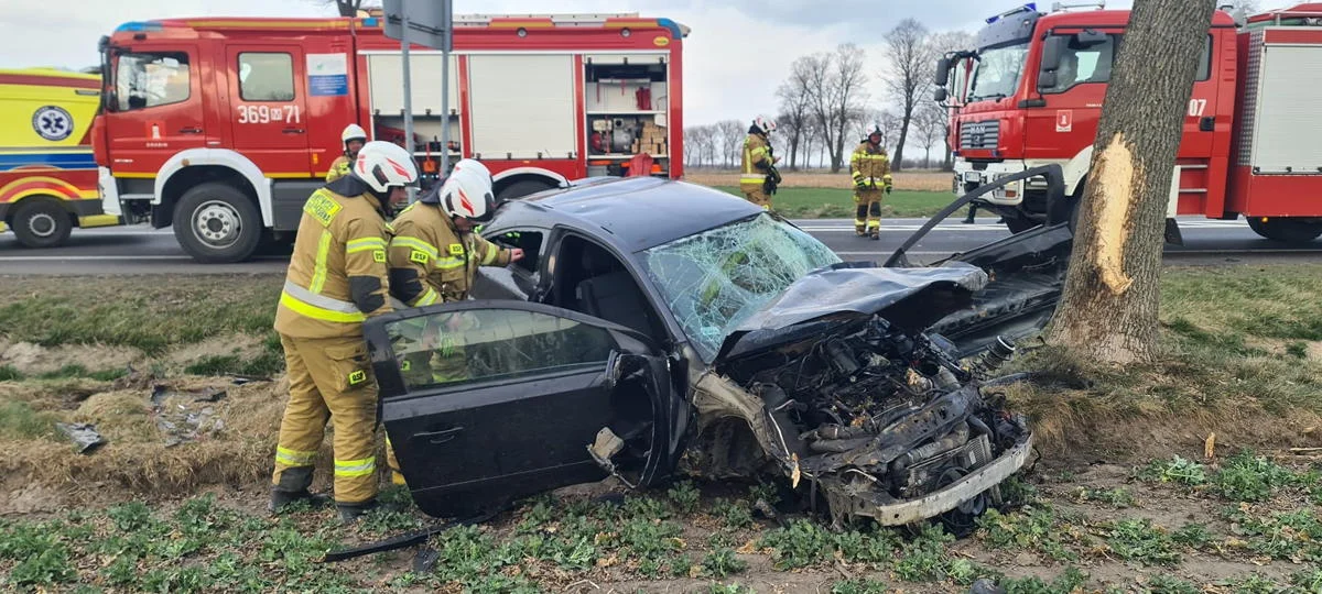 Podczas wyprzedzania zjechała z drogi i uderzyła w drzewo. Policja szuka świadków wypadku - Zdjęcie główne