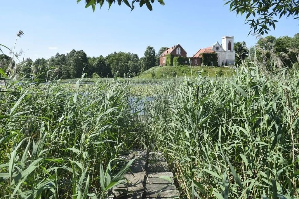 Pomost, ławki, wędkowanie. Będzie renowacja jeziora w regionie płockim - Zdjęcie główne