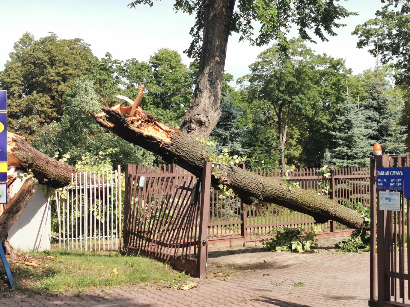 Kilkadziesiąt zerwanych dachów, zalane piwnice. Mnóstwo interwencji strażaków w Płocku i powiecie  - Zdjęcie główne