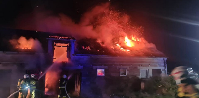 Pożar w powiecie płockim. Kilkudziesięciu strażaków w akcji - Zdjęcie główne