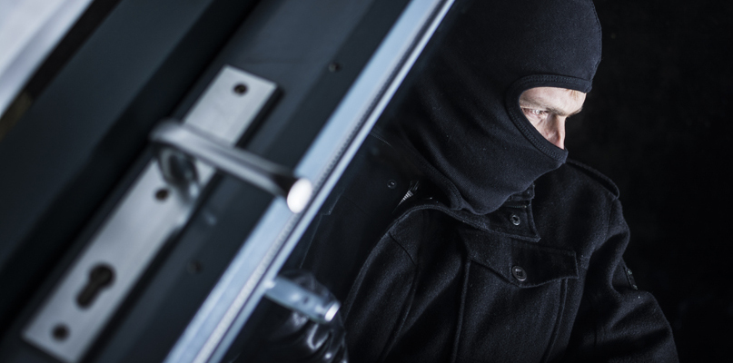 Włamują się i kradną. Niektórzy złodzieje wolą jednak nietypowe łupy - Zdjęcie główne