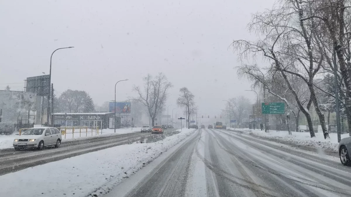 Śnieg zdążył stopnieć, ale to jeszcze nie koniec. Kiedy zima wróci do Płocka? - Zdjęcie główne