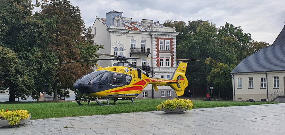 Dramatyczne sceny w płockim parku. Trwa reanimacja mężczyzny [ZDJĘCIA] - Zdjęcie główne