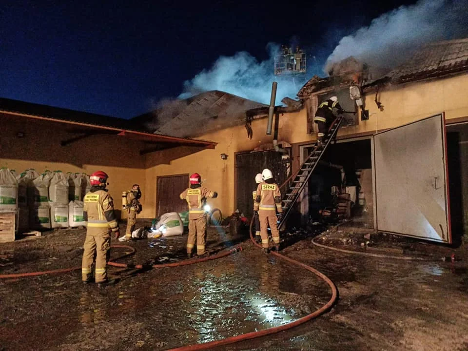 Duży pożar w powiecie płockim. W akcji kilkanaście zastępów straży [ZDJĘCIA] - Zdjęcie główne