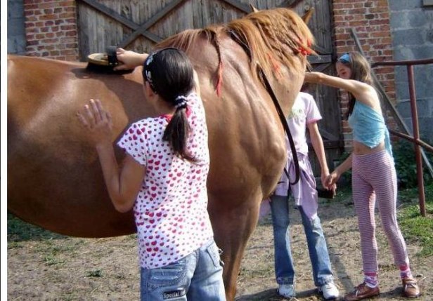 Masz pomysł? 15 tysięcy do wzięcia - Zdjęcie główne