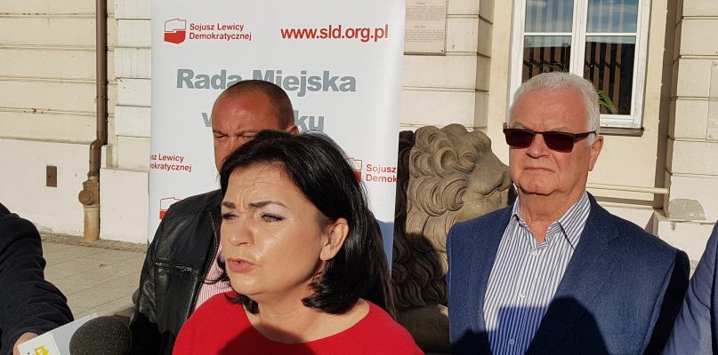 SLD bez kandydata na prezydenta. Popierają innego - Zdjęcie główne