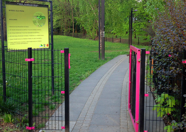 Zobacz, jak wygląda park dla psów [FOTO] - Zdjęcie główne