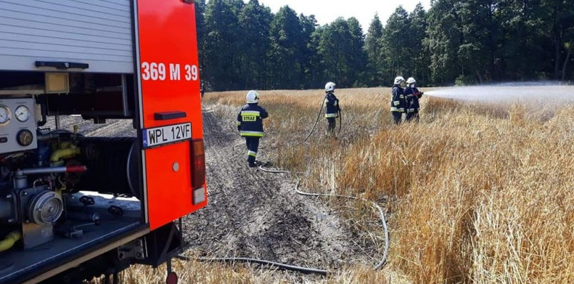 Pożary wciąż groźne w powiecie płockim - Zdjęcie główne