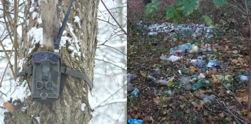 Fotopułapki już na drzewach. Rozwiążą problem śmieci? - Zdjęcie główne