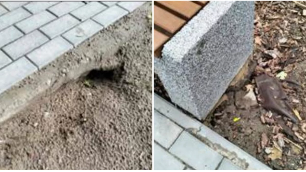 Nowy parking w Płocku i już problemy? Radna alarmuje: zapada się grunt!