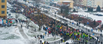 Chcecie, żeby przez Płock przeszedł wielbłąd? Głosujcie! - Zdjęcie główne