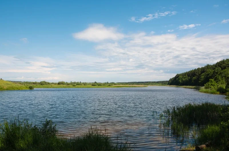 Wycieczka za miasto w okolicach Płocka. Gdzie wybrać się w weekend?  - Zdjęcie główne