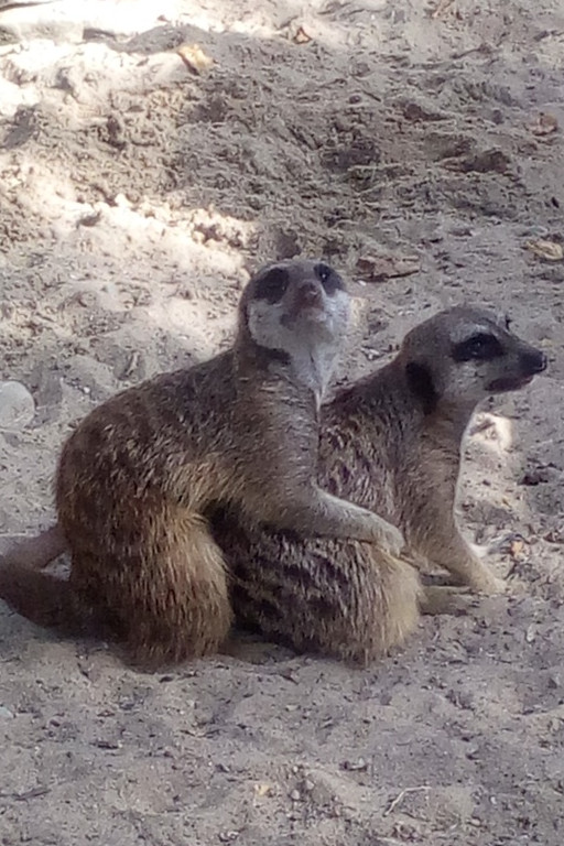 Zew natury w płockim zoo. Aż 270 konkursowych zdjęć - Zdjęcie główne