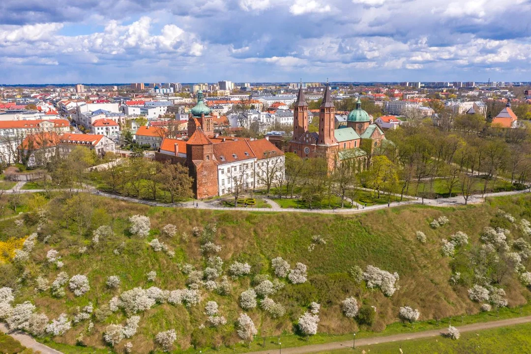 Płock w ścisłej czołówce. Miasto jest jednym z najbogatszych w Polsce - Zdjęcie główne