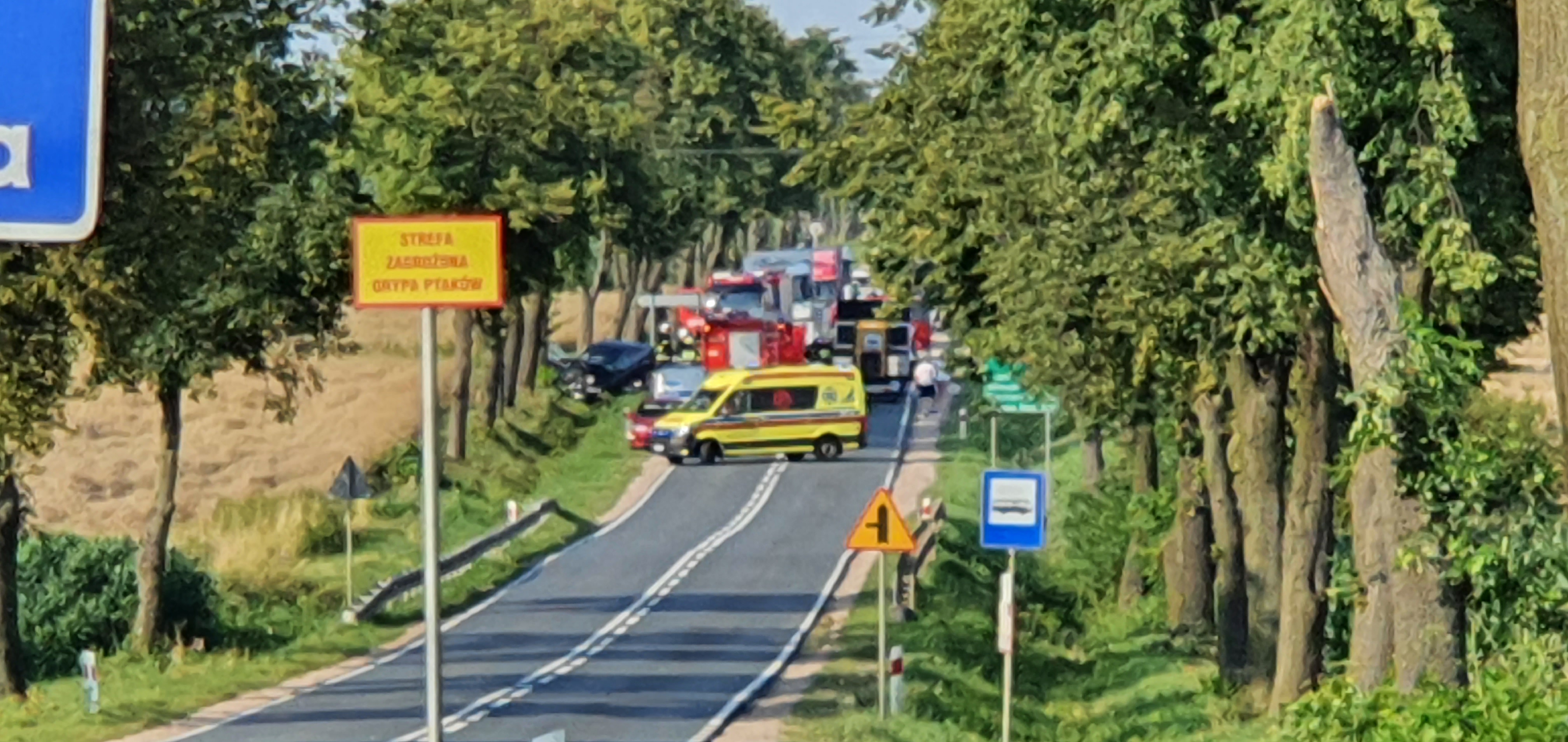 Czołowe zderzenie tuż za Płockiem. 27-letni motocyklista zginął na miejscu  - Zdjęcie główne