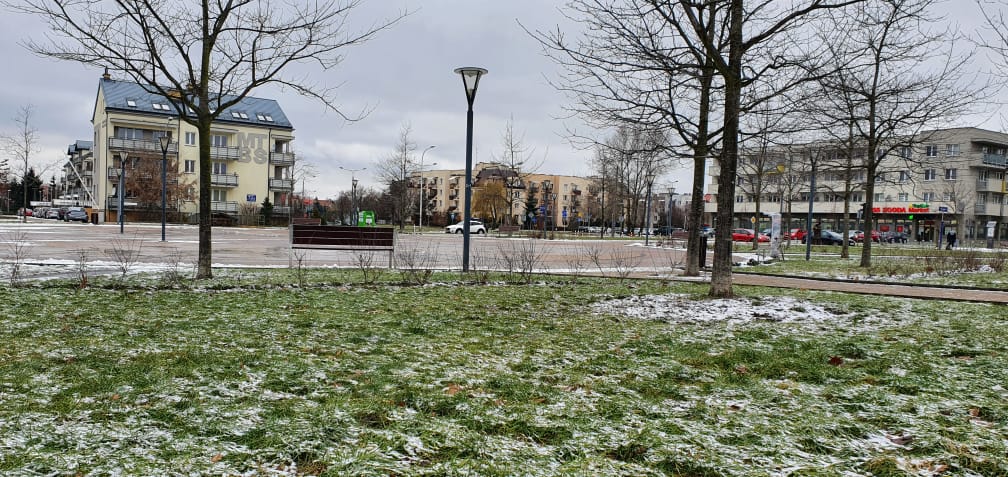 Podtruwane zwierzęta na Podolszycach? Policja: podjęliśmy działania przed złożeniem zawiadomienia - Zdjęcie główne