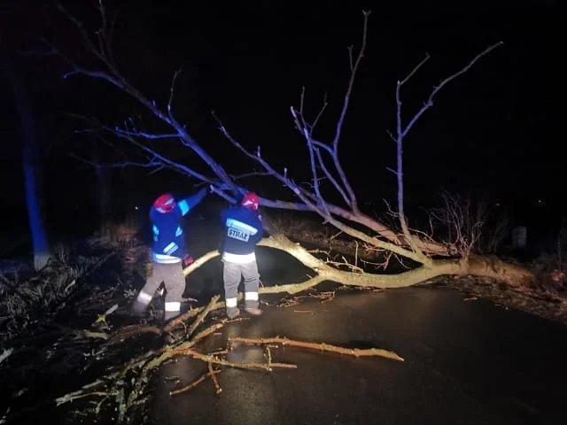 Skutki wichury. Są awarie prądu w regionie płockim  - Zdjęcie główne