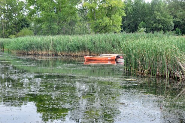 Brud, smród, pływają zdechłe ryby... - Zdjęcie główne