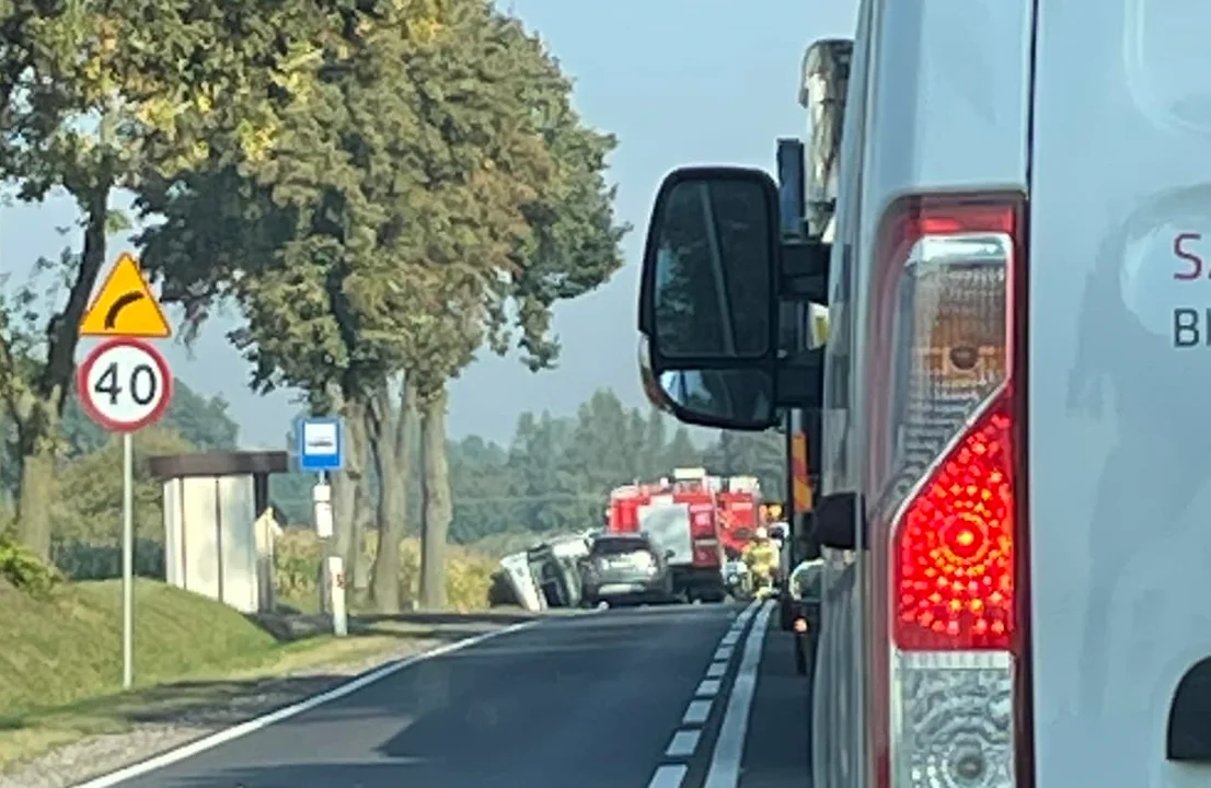 Wypadek samochodu ciężarowego. Przewoził kilkaset sztuk trzody chlewnej - Zdjęcie główne