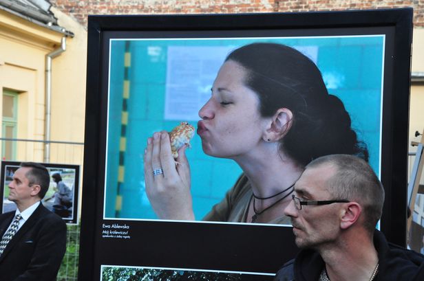 Co za niedyskrecja.Sfotografowali wszystko! - Zdjęcie główne