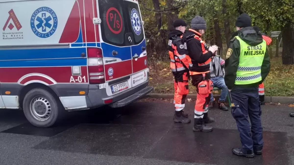 Nie jadł kilka dni ani nie pił. Znalazła go przechodząca kobieta. Mogło dojść do tragedii - Zdjęcie główne