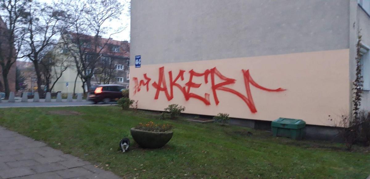 Graffiti w centrum miasta. Spółdzielnia walczy, ale przegrywa - Zdjęcie główne