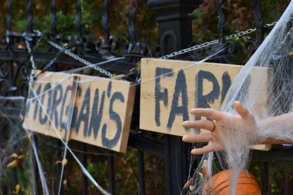 Halloween na Jaśkowej Dolinie