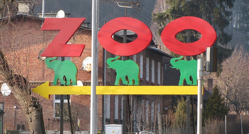 ZOO będzie miało nowy drogowskaz. Trwa konkurs na projekt - Zdjęcie główne