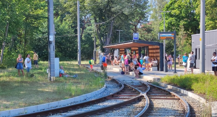 Zerwanie trakcji przy Akademii Muzycznej. Chaos na trasie na Stogi  - Zdjęcie główne