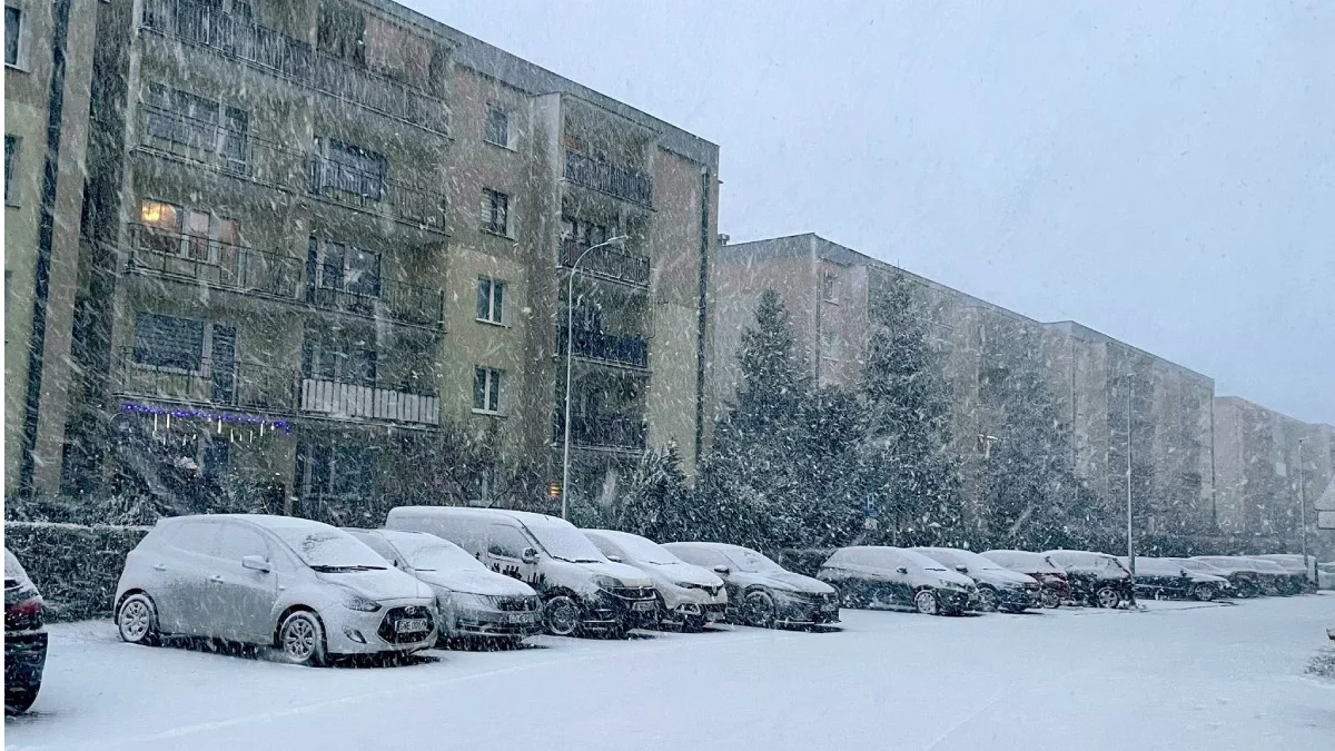 Burze śnieżne dotarły na Pomorze. Wydano alerty I i II stopnia dla woj. pomorskiego - Zdjęcie główne