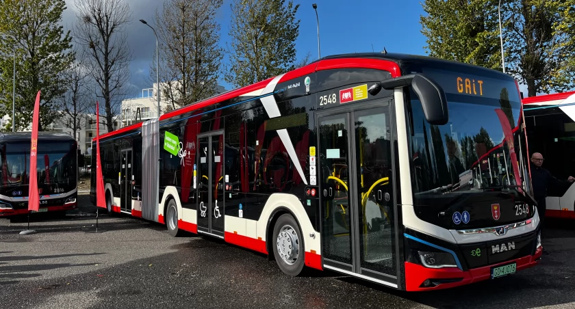 Elektryczne lwy dojechały do Gdańska. Sprawdź, jak się prezentują! [ZDJĘCIA] - Zdjęcie główne