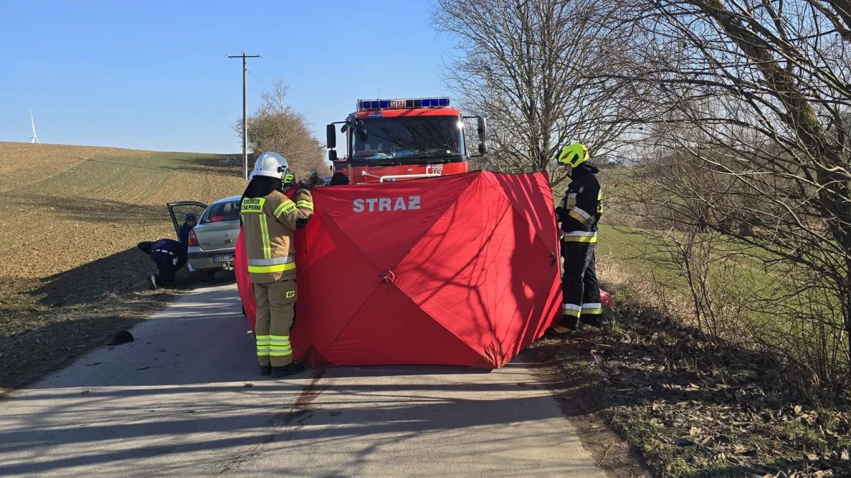 Tragiczny wypadek na Pomorzu. Nie żyje mężczyzna - Zdjęcie główne