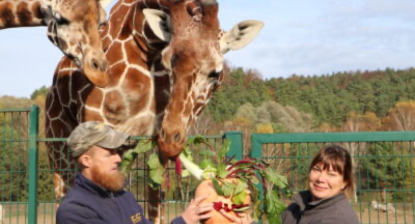 Święto Zwierząt w gdańskim Zoo. Porozmawiaj z opiekunami - Zdjęcie główne